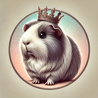 МорСвин (Морские свинки)