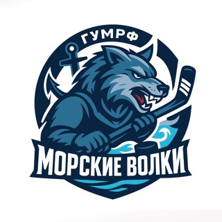ХК «Морские волки»