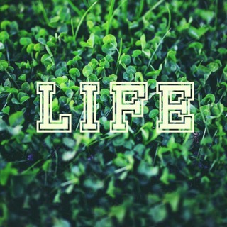 ɢUʀUʜʟAʀɴɪ DODASɪ ✔