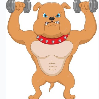GYM INU