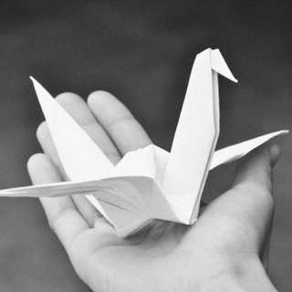 МБОО "Гимназия" г.о.Фрязино