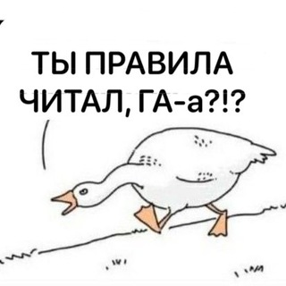 Прошмандовки Barista Help