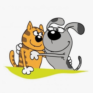 🐾КОТИКИ И БОБИКИ🐶