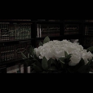 хадисы о женщинах