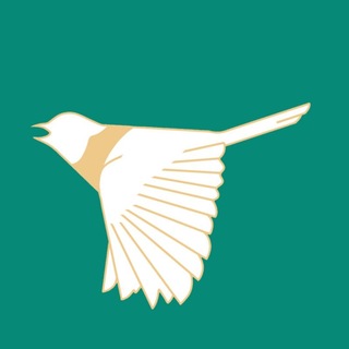 Пересмешник ВолгГМУ @