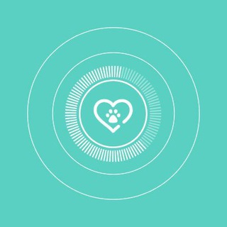 HAISCAN - AI сканер здоровья животных