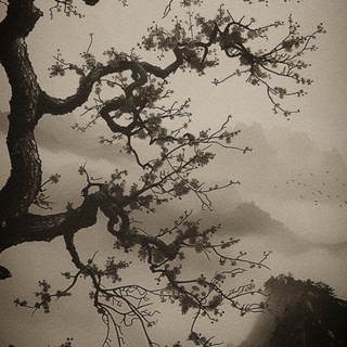 hajime with heal your soul