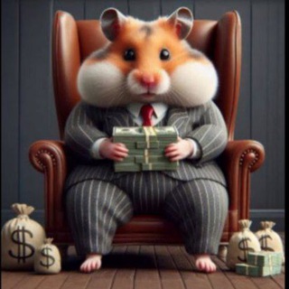 Лайфхаки || Hamster Kombat