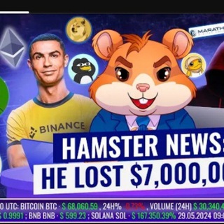 Hamster Kombat | Комбо Карты