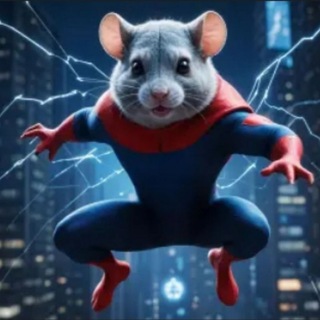 ХОМЯК КАК ИГРАТЬ, ВЫВОДИТЬ, КЛЮЧИ, МИНИ-ИГРА, КОМБО, HAMSTER KOMBAT 🐹🕹️💰