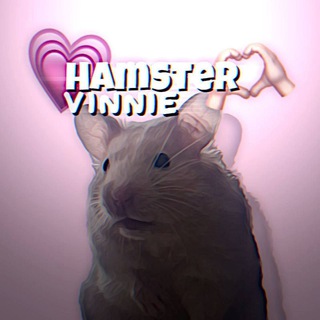 hamster_Vinnie