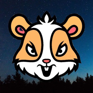 Daily // Хамстер Комбат 🐹