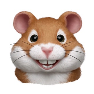 Комбо и Шифр - Hamster Kombat | Хомяк Игра