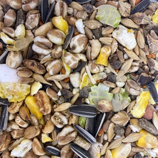 ꧁༺ 𝓗𝓪𝓶𝓼𝓽𝓮𝓻 𝓜𝓲𝓵𝓪 ༻꧂