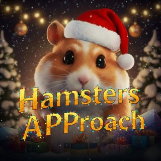 💸 Hamster's APProach