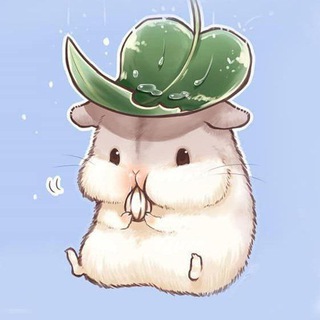 Милые хомячки на каждый день