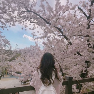 🍀/°•°•°korean °•/world°•°•°/🌸