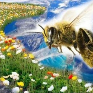 Hana no Michi (Дорога цветов 🌼🌸🌺)