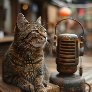 Блог (НЕ)успешного китаиста и коты