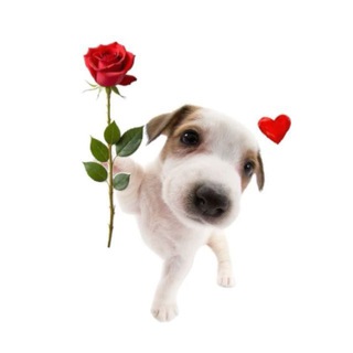 сегодня др у…