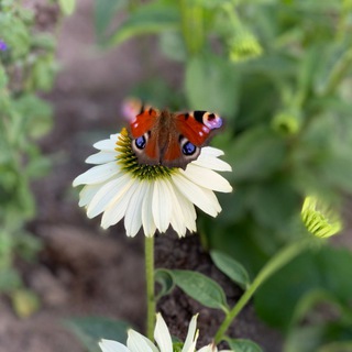 Счастливый класс