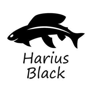 Harius Black - льем приманки, разговариваем о рыбалке.