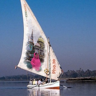 Жизнь в ритме природы 🌲