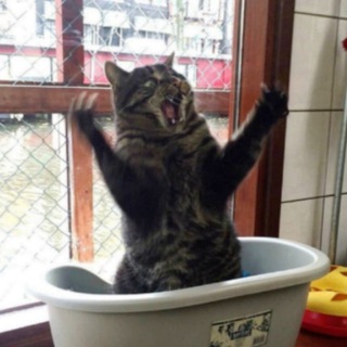 Жесткий юмор / мемы