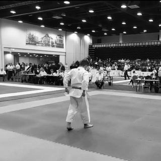 Mkrtychyan Sergey (Karate)