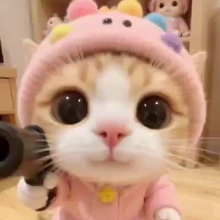 Канал Артема Дуванчика