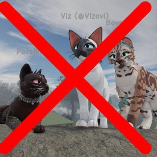 🐈‍⬛🎮💢HATE WCUE CONFESSIONS!