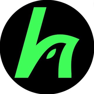 HawkFi (formerly Hawksight)