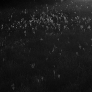 этот путь не усыпан цветами