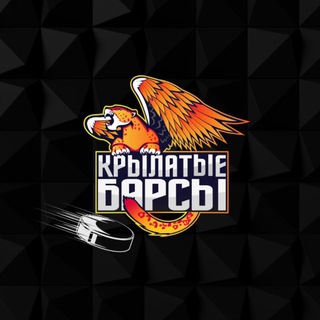 ХК «КРЫЛАТЫЕ БАРСЫ»
