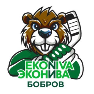 ХК «ЭкоНива-Бобров»