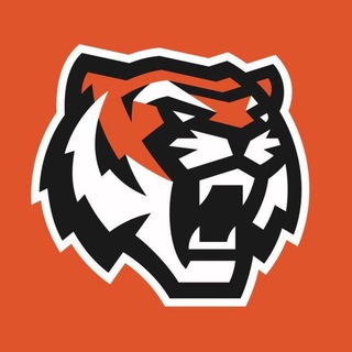 МХК «Амурские Тигры»