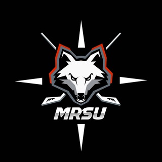 ХК «МГУ-Талина»