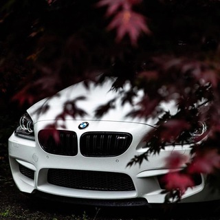 Автомобили на дорогах