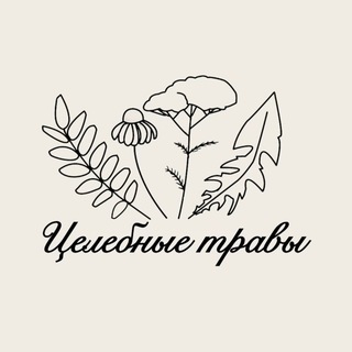 Целебные травы 🌿