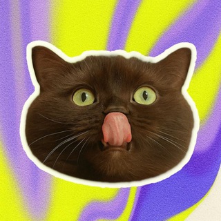 блогинг здорового человека