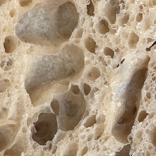 хэлси лайф и шуточки