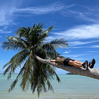 Гык гык трапы