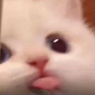 кабинет достижения безмятежности