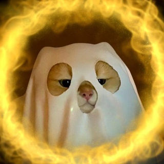 👀 ОБОИ iOS 26 👀