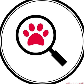 ПОТЕРЯШКИ,Волгоградская область 🐾