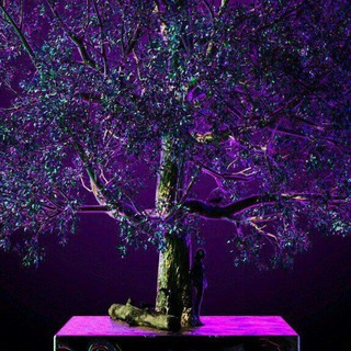 ✨ Психологическая помощь ✨