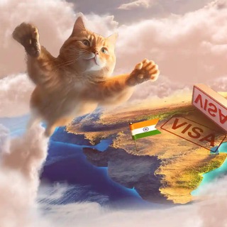 Виза в Индию. Ввоз животных indian-visa.ru