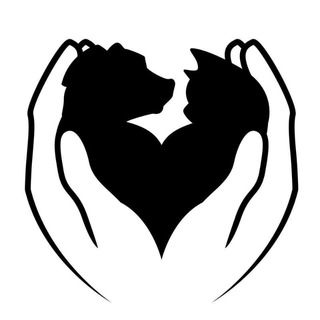 Реальная помощь животным ЦБЖ РнД! 🐶🐱