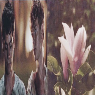 бегущий в лабиринте 🦇