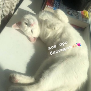 Короче блогеры